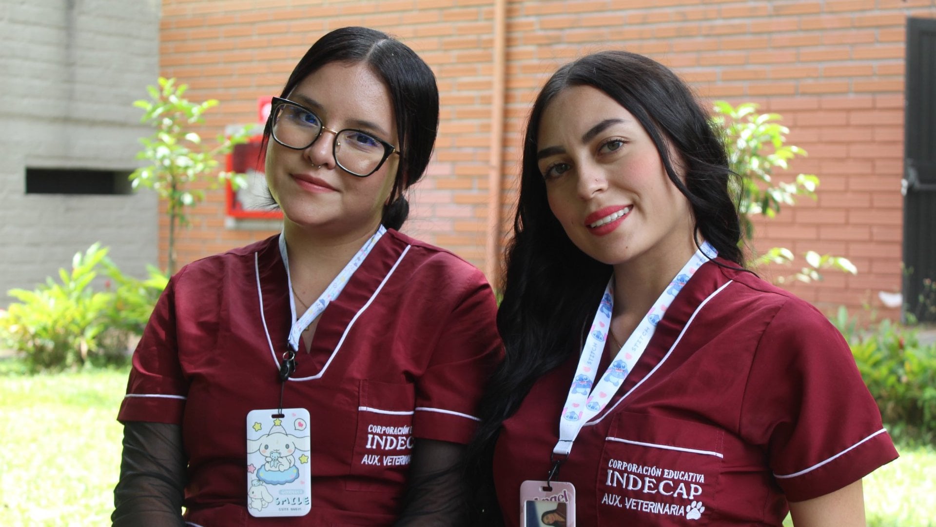 Auxiliar en Veterinaria